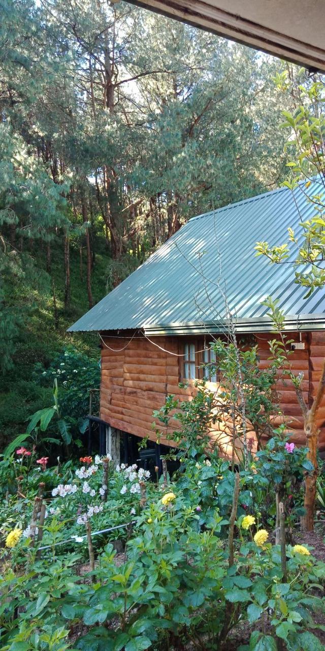 Moon Plains Forest Log Nuwara Eliya Exterior foto